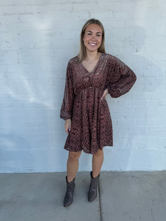 Damask Pattern Burnout Velvet Long Sleeve Mini Dress