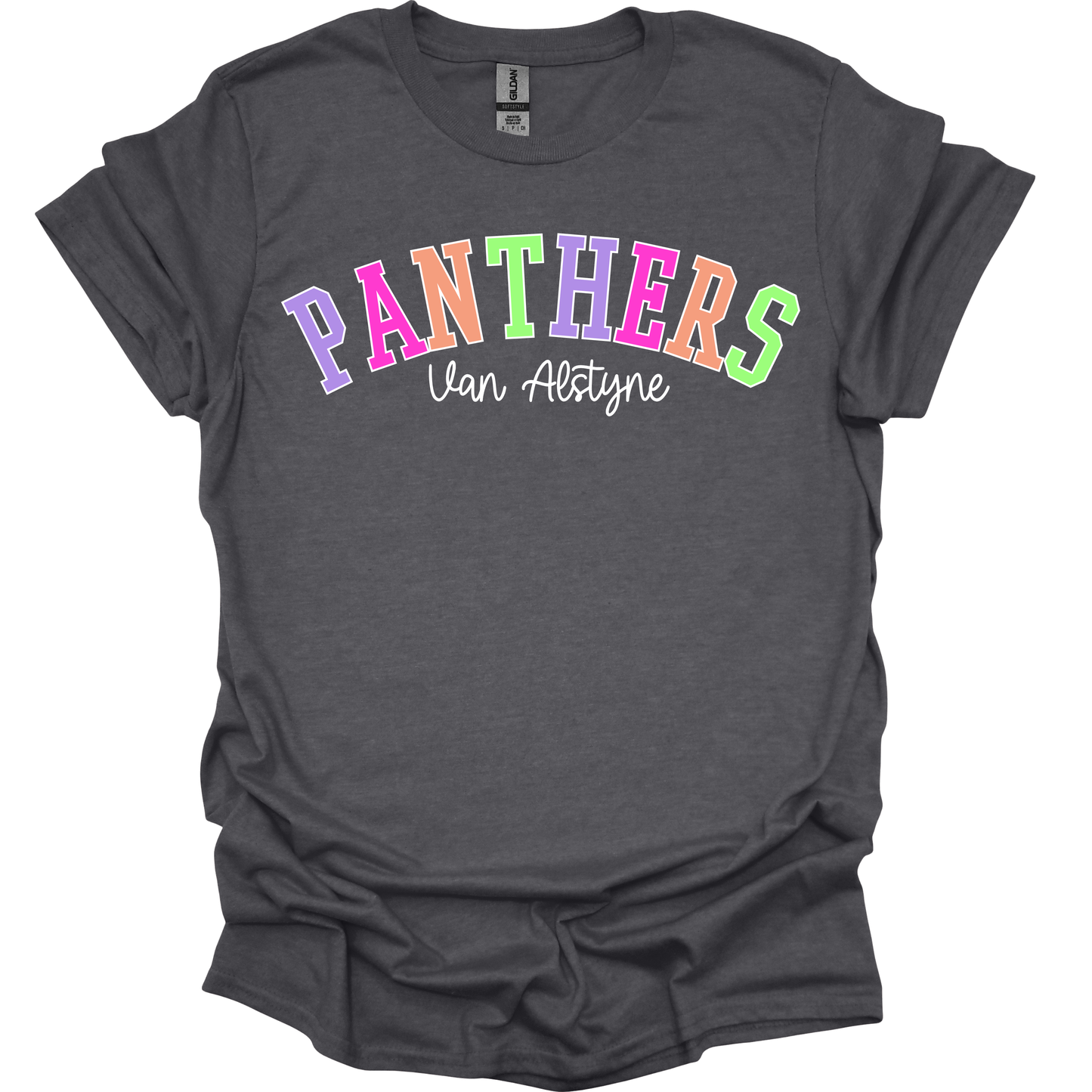 Colorful Panthers