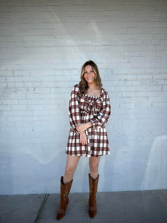 Brown check Dress